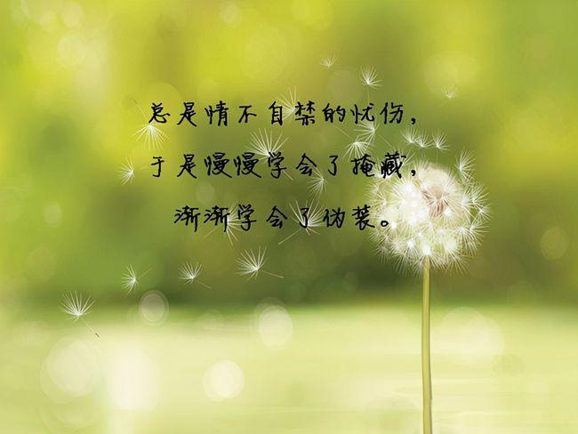 情感精选语录,温馨日常故事中的情感点滴