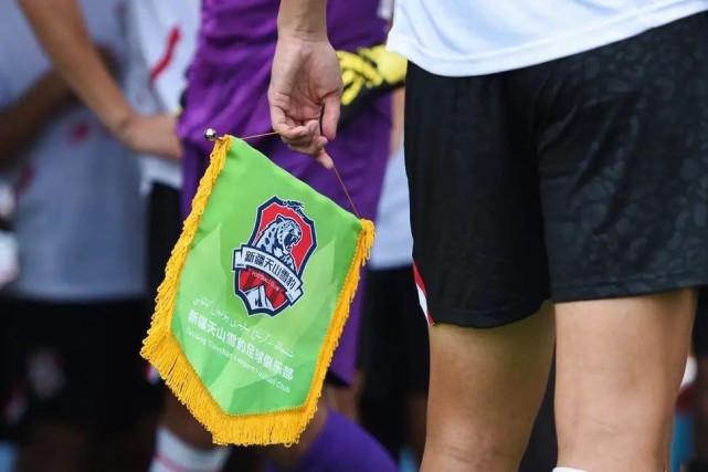 新疆天山雪豹动态资讯,探寻自然美景之旅,寻找内心的宁静与平衡