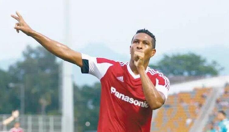 新疆天山雪豹动态资讯,探寻自然美景之旅,寻找内心的宁静与平衡