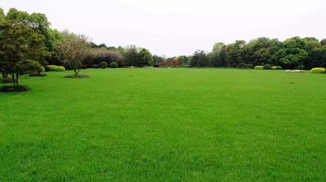 湾里区最新发展动态概览