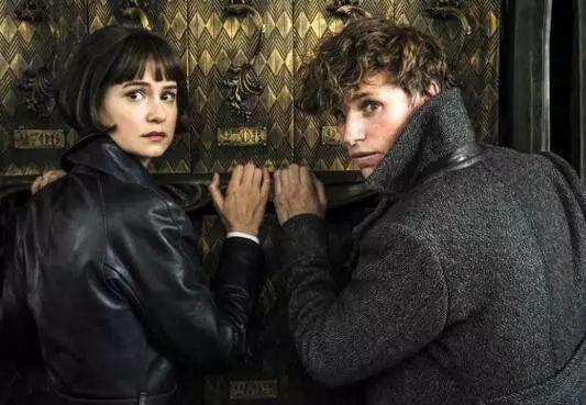 动物界最新动态,揭秘动物世界的最新消息