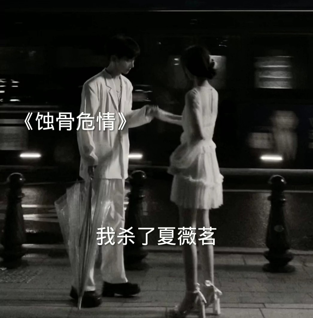 蚀骨危情最新,小巷深处的独特风情揭秘