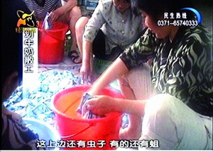 光明牛奶最新事件，自然美景中的治愈之旅