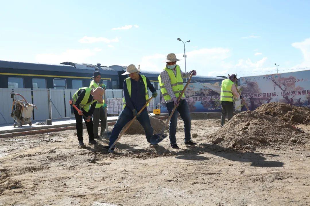 临哈铁路最新动态,全面指南与步骤详解