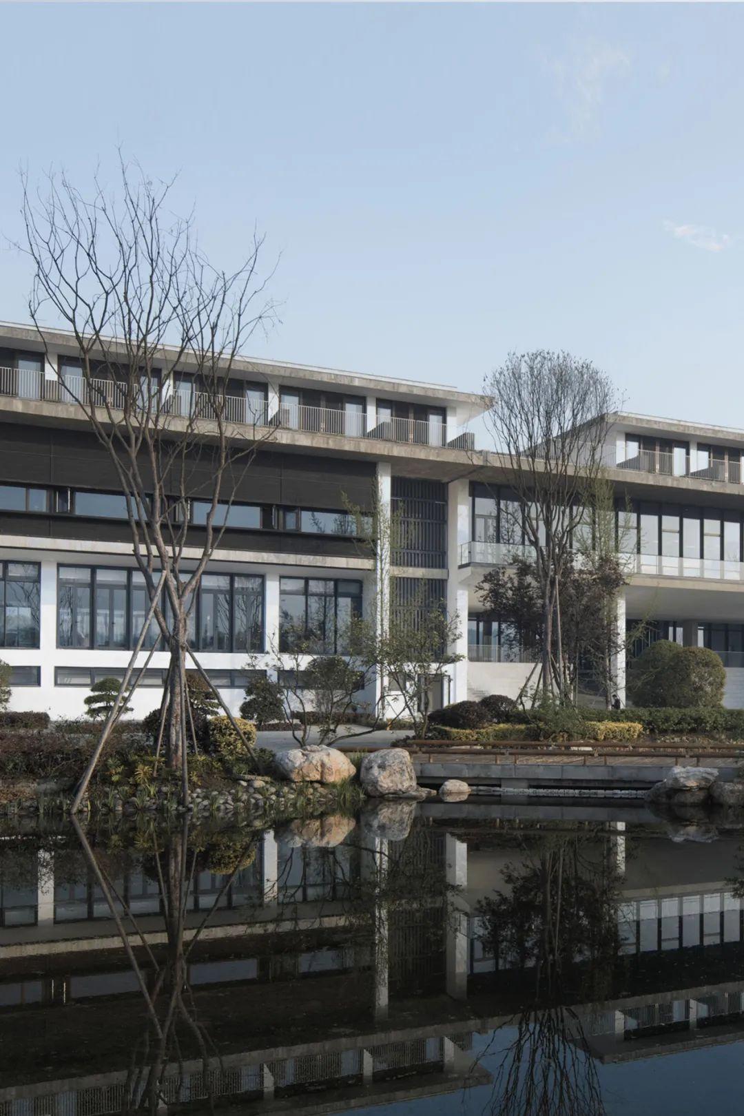 沱牌舍得最新动态更新