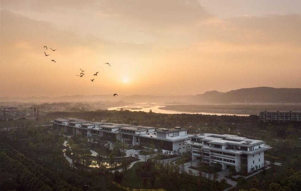 沱牌舍得最新动态更新