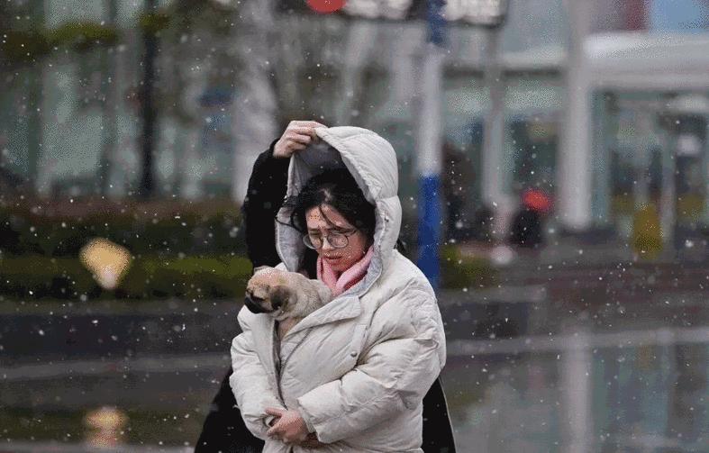 上虞驾驶员最新招聘,启程同行,友情与爱伴你一路前行