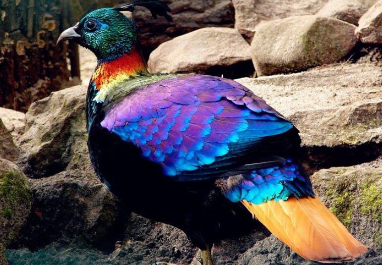 九色腾最新地址揭秘,一段温馨有趣的日常故事之旅