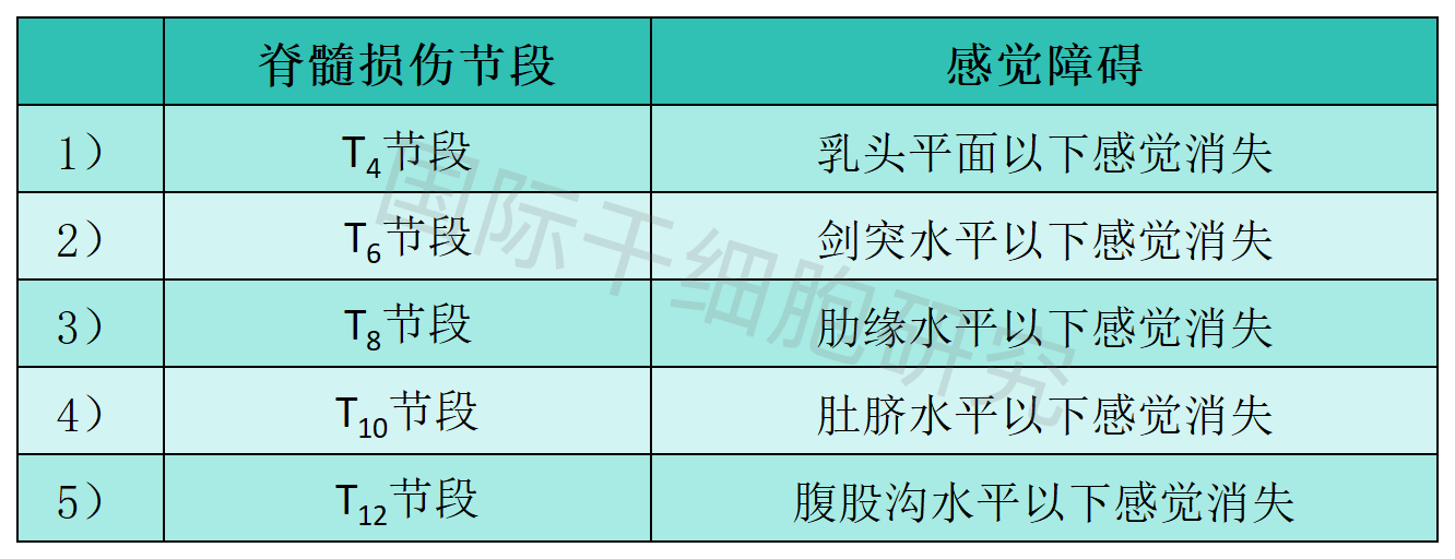 全球脊髓损伤最新进展概览