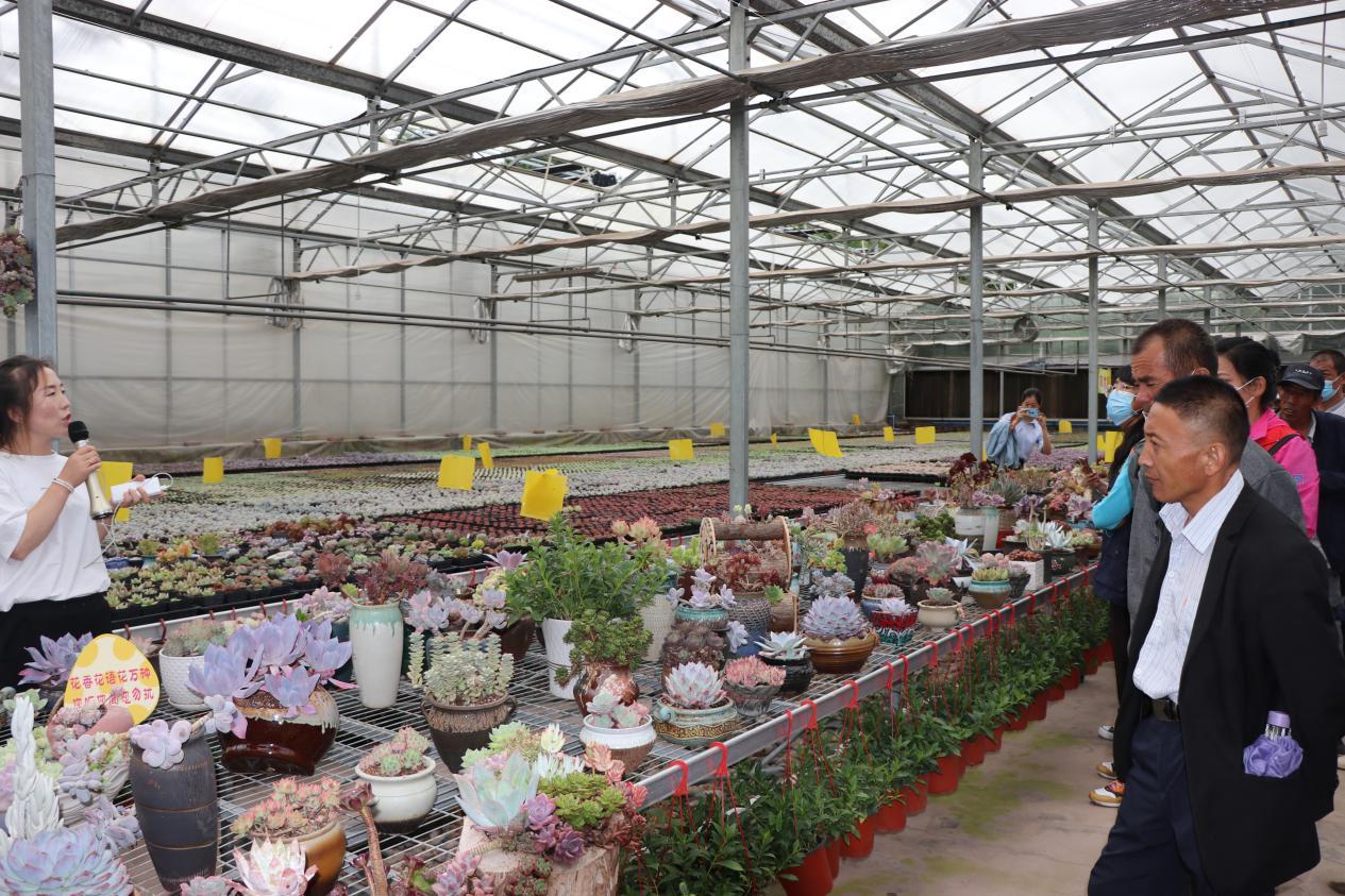 甘肃残疾人最新政策,赋予生活更多可能性,助力残疾人事业发展