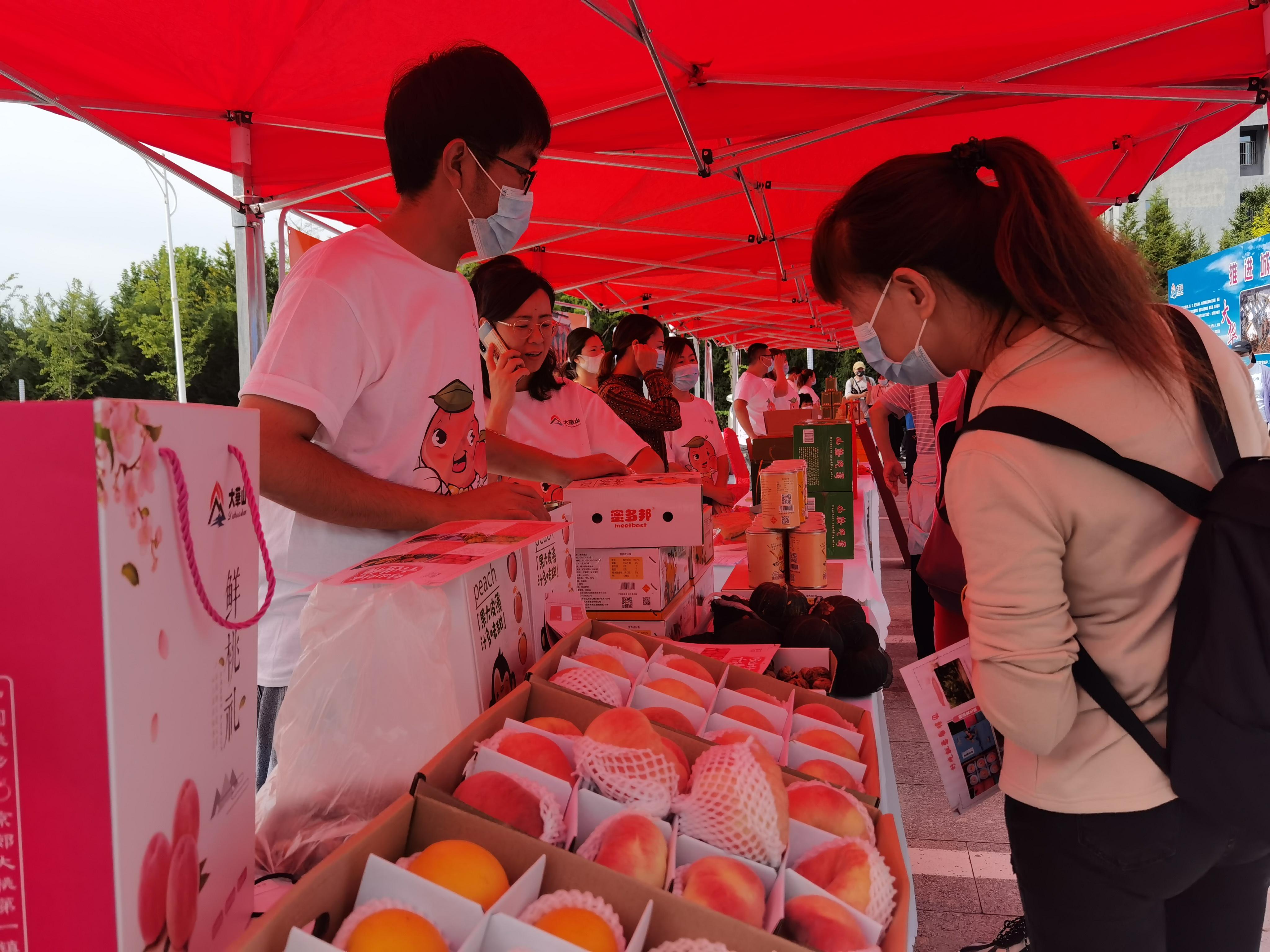 平谷最新招聘,友情与工作的和谐交响盛会