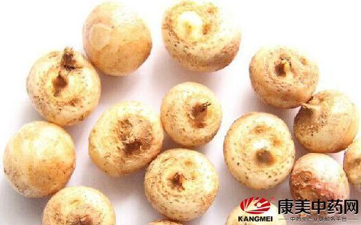 科技重塑生活，西和半夏智能新品引领潮流及最新价格资讯