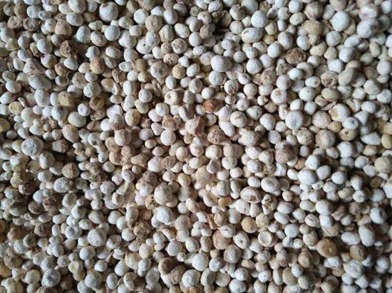 科技重塑生活,西和半夏智能新品引领潮流及最新价格资讯