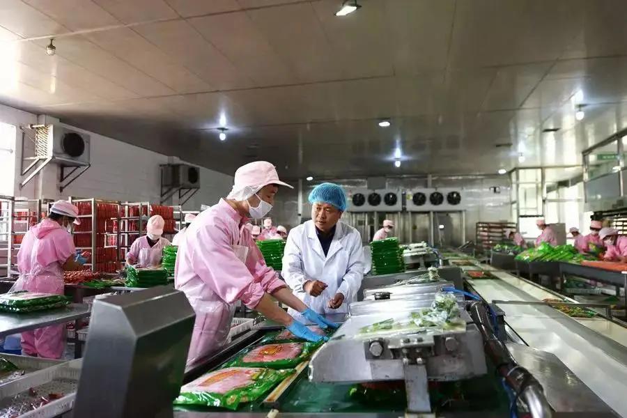 高薪最新招聘求职攻略，如何提升技能与完成求职任务的学习指南