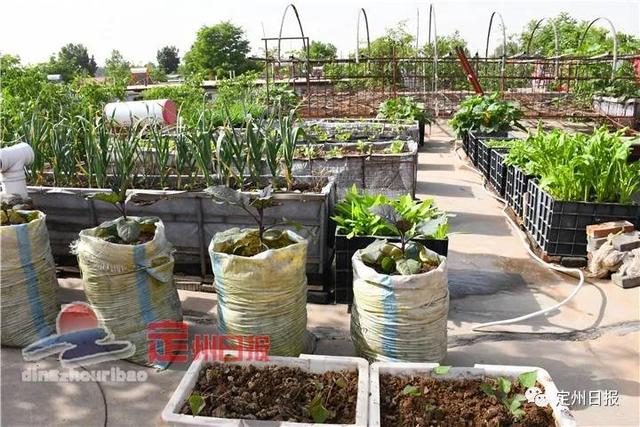 留草社区最新动态揭秘,独特风采引人入胜!