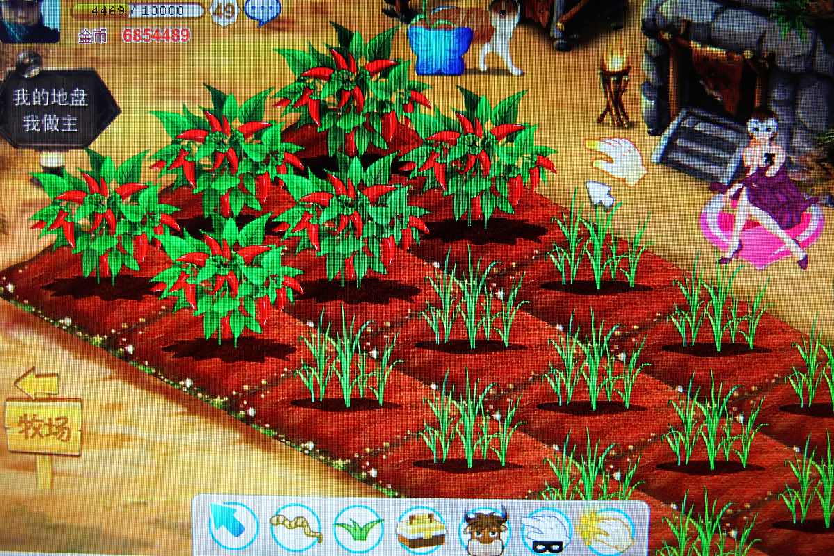 科技赋能农场变革,最新QQ农场外挂揭秘