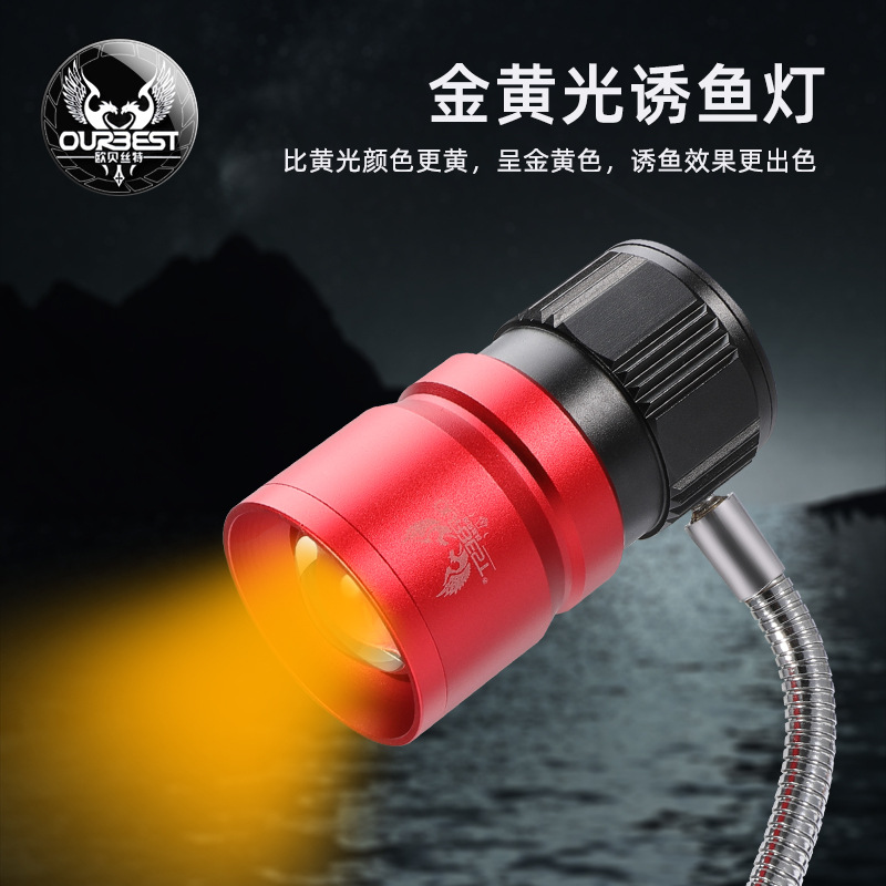 最新筏钓专用灯及其使用指南