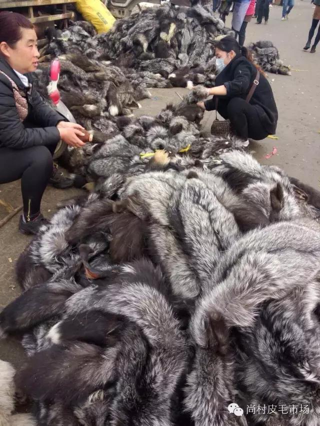 尚村最新皮毛价格深度解析与论述