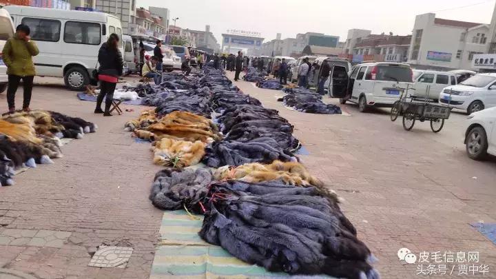 尚村最新皮毛价格深度解析与论述