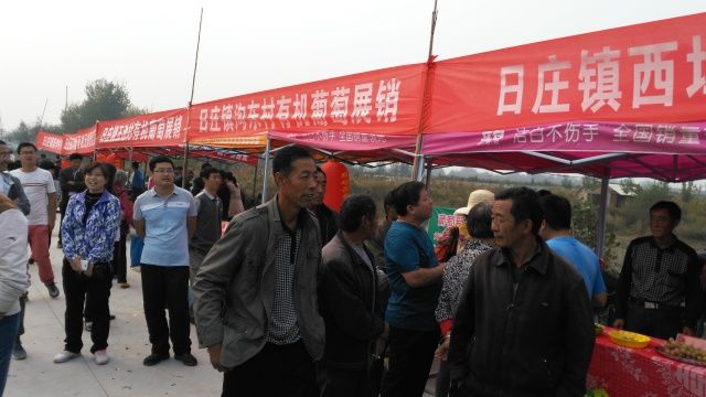 莱西最新动态,小巷深处的独特美食风采