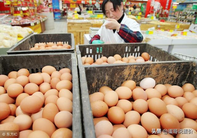 北京今日鸡蛋最新价格发布📣🥚你了解吗?