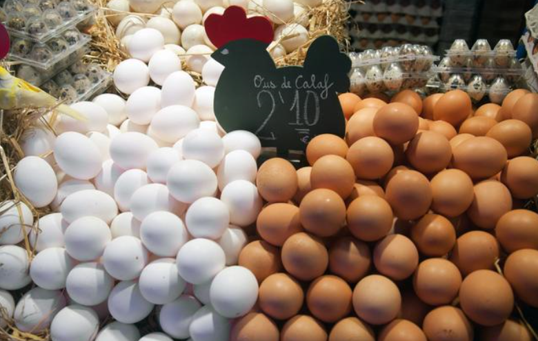 北京今日鸡蛋最新价格发布📣🥚你了解吗?