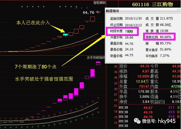 新海股份最新动态与消息更新📢📈
