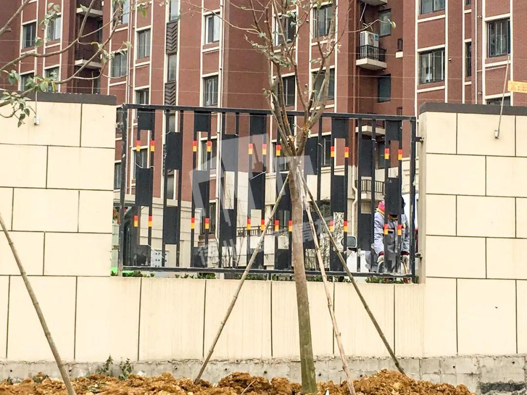 徐州房价走势最新消息,温馨日常背后的房价变迁故事