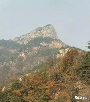 新能泰山最新动态,如何了解和利用新能源技术的前沿消息