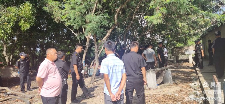 陵水黎安镇最新动态及其影响,一种观点解析