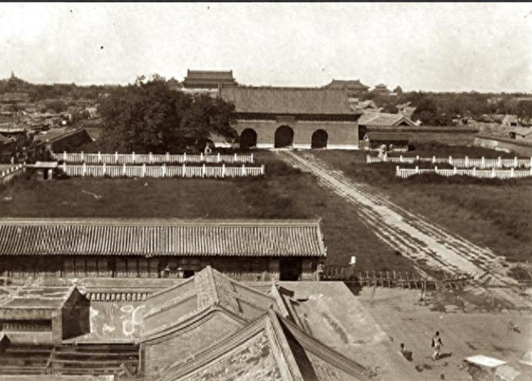 最新僵尸电视剧,观看与欣赏的详细步骤指南