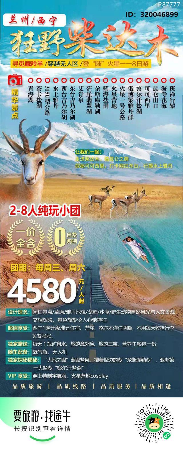 科技引领新时代的旅行体验,最新旅游动态概览