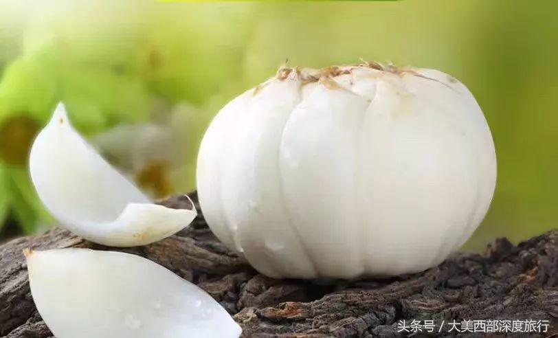 最新百合川全景,美景美食尽览一网打尽!