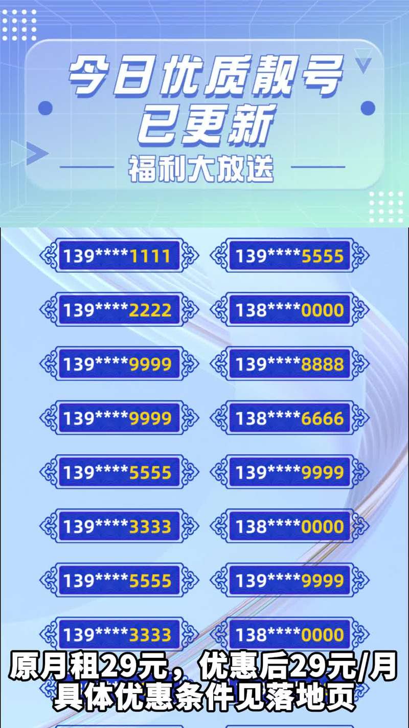 靓号贷最新动态解析与报道