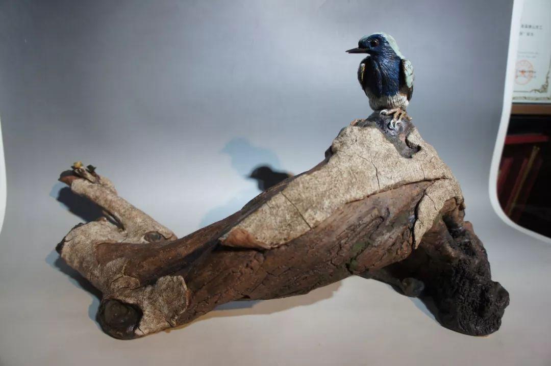 公仔论坛最新动态,探索自然美景之旅,寻找内心平和宁静的旅程