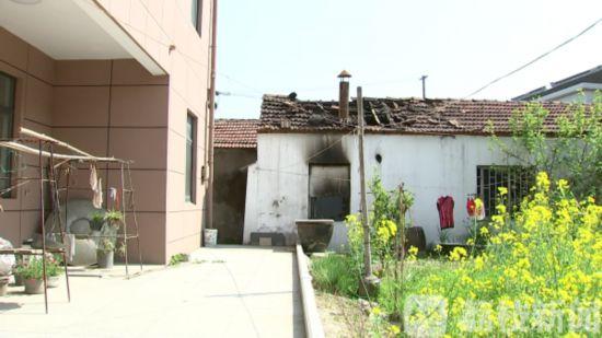 常熟火灾最新动态,小火与大火炬的温馨日常冒险之旅