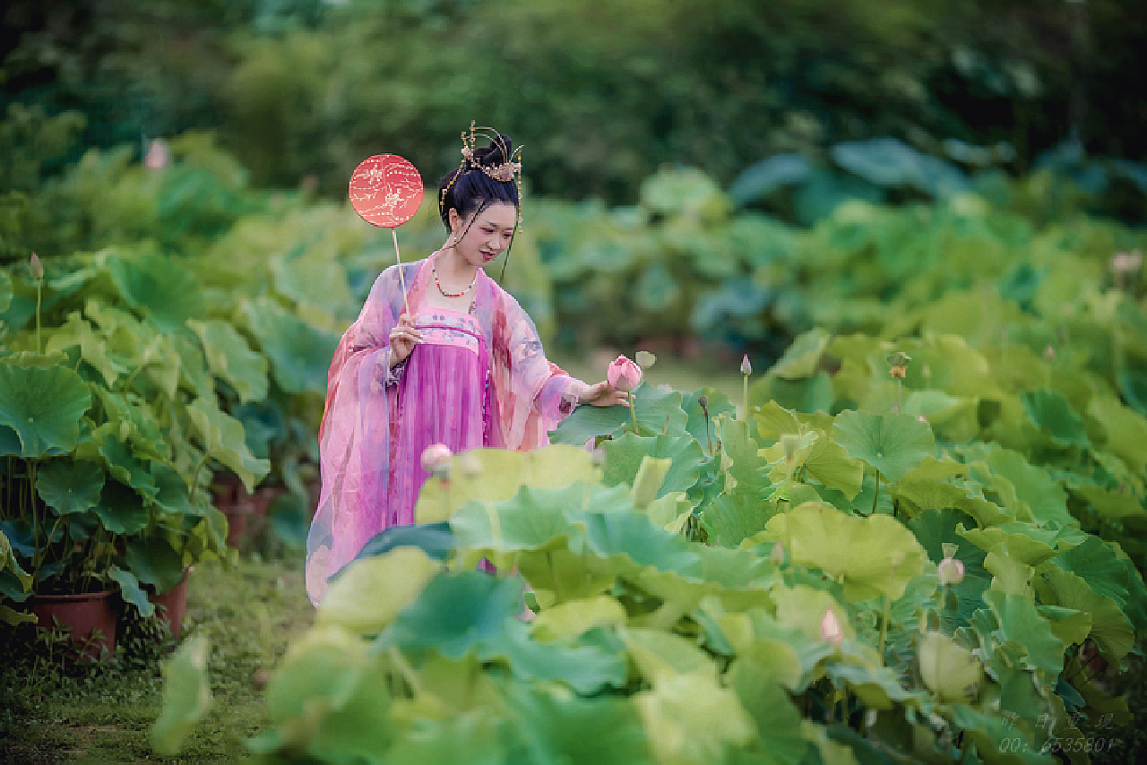 碧荷最新番外篇章揭晓!