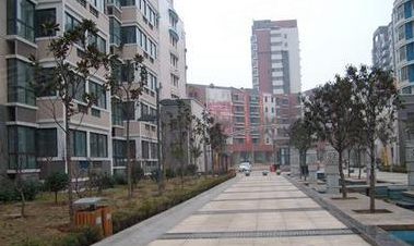 桐柏最新房屋出租信息🌟