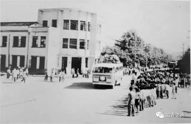 知青子女最新政策解读与指南