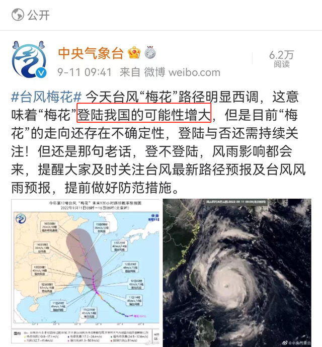 台风莲花最新动态更新,最新消息与路径分析