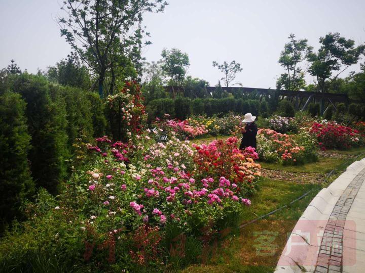 满城最新钓鱼地点指南,适合初学者与进阶用户的钓鱼胜地