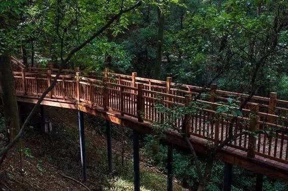 最新玻璃栈道游玩指南,步骤详解与体验攻略