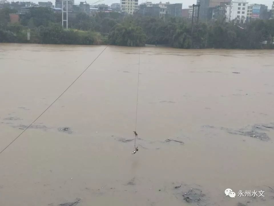 永州洪水2025最新情况及应对洪水灾害步骤指南