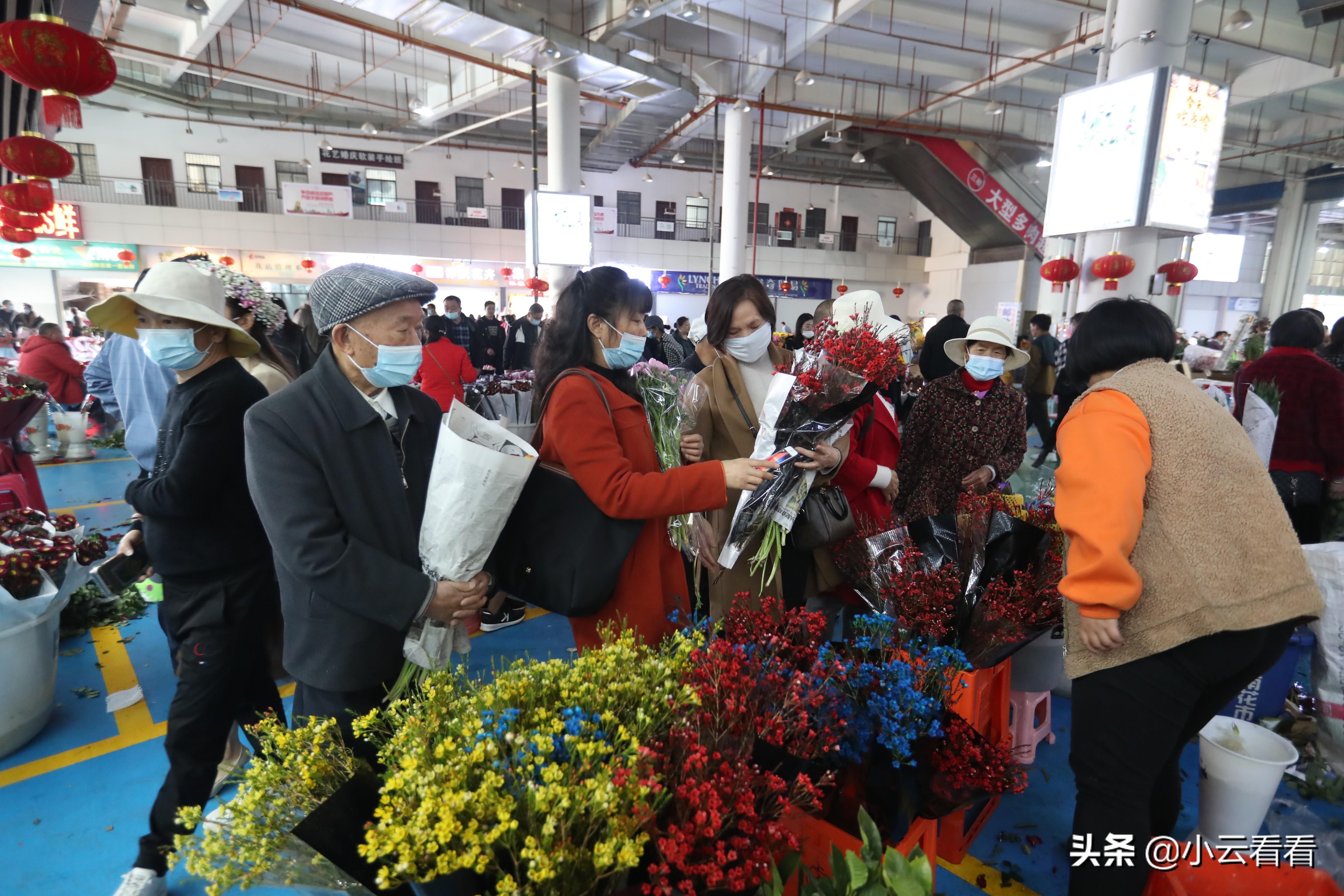 阳春生猪最新价格,变化中的机遇与成就感的源泉