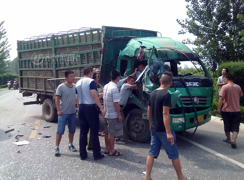 蒙阴最新车祸原因探讨与应对策略讨论