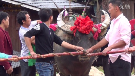最新牛霸江湖介绍与概述