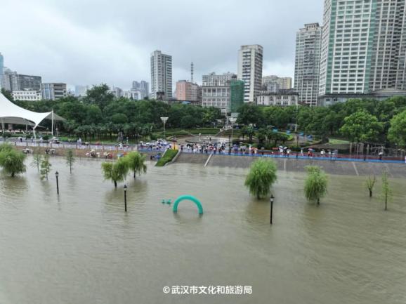 武汉最新实况,自然美景的探索之旅