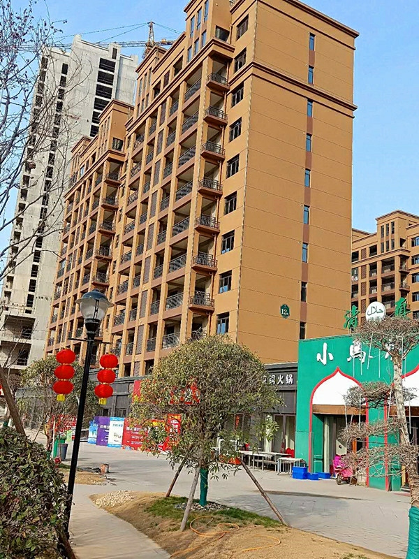 新野最新门面,温馨日常故事展现
