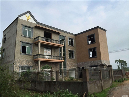 新野最新门面,温馨日常故事展现