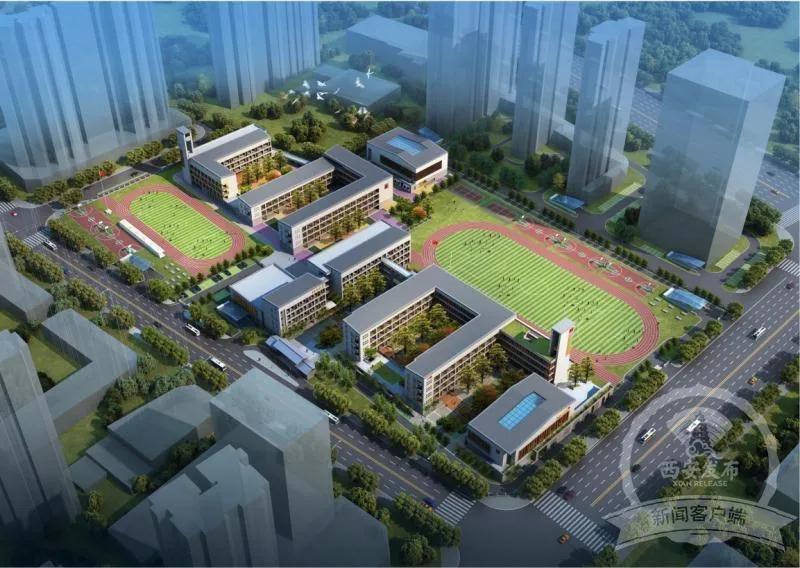 最新地趾，步步为赢，学习铸就自信与成就